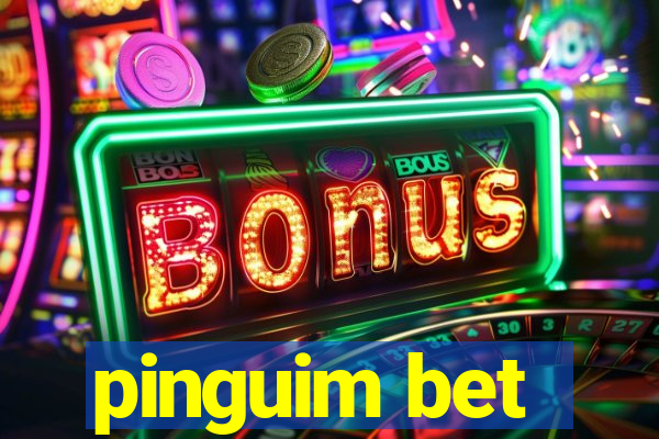 pinguim bet